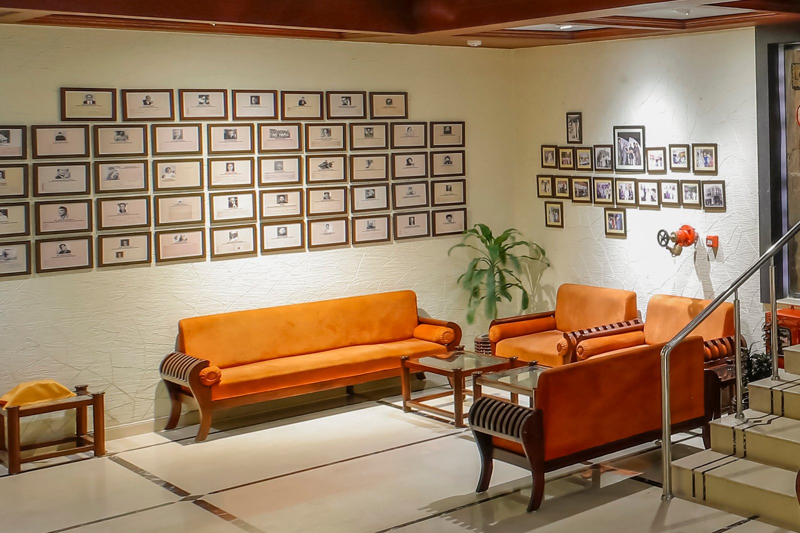 _21A6720 copy 2bb (1)